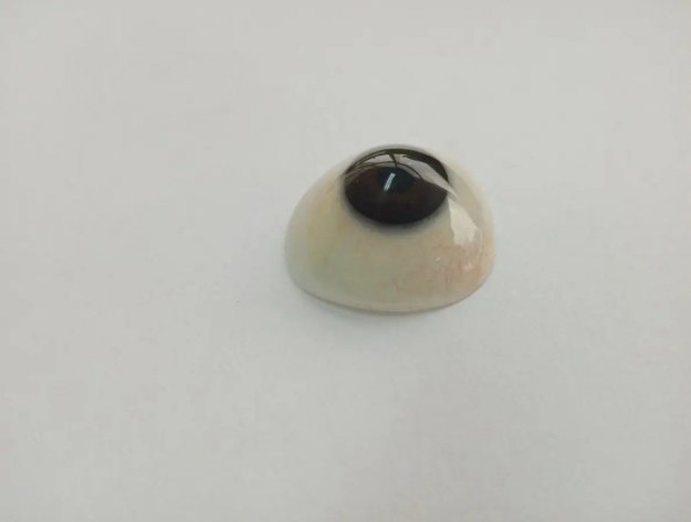 義眼定制